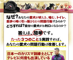 藤井聡の犬のしつけ教室DVD